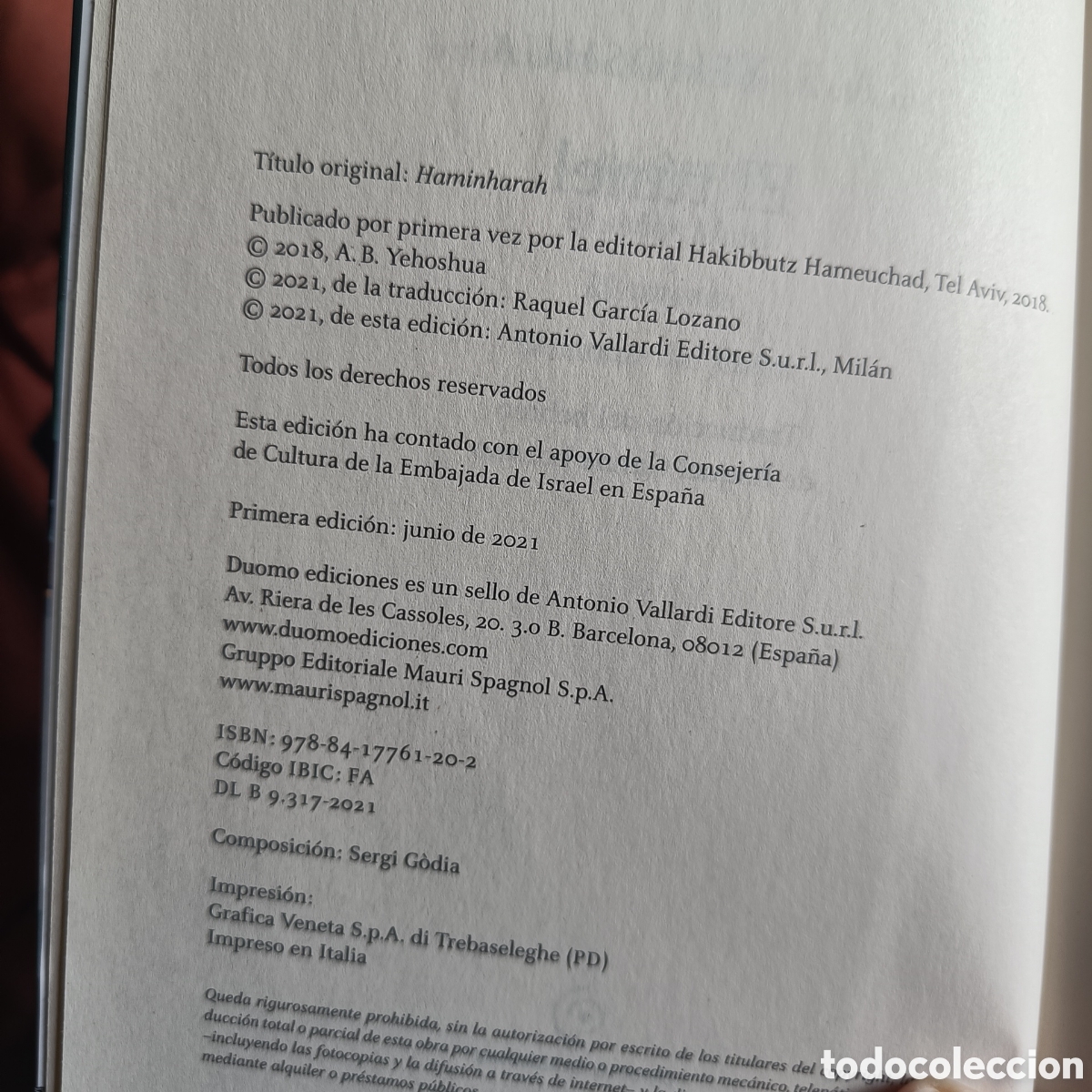 Libros: EL T&Uacute;NEL.A.B.Yehoshua - Foto 2