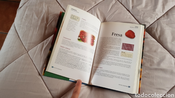 Libros: Frutas Karlos Argui&ntilde;ano - Foto 2
