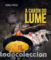 B&uuml;cher: A car&oacute;n do lume - Prego, M&oacute;nica