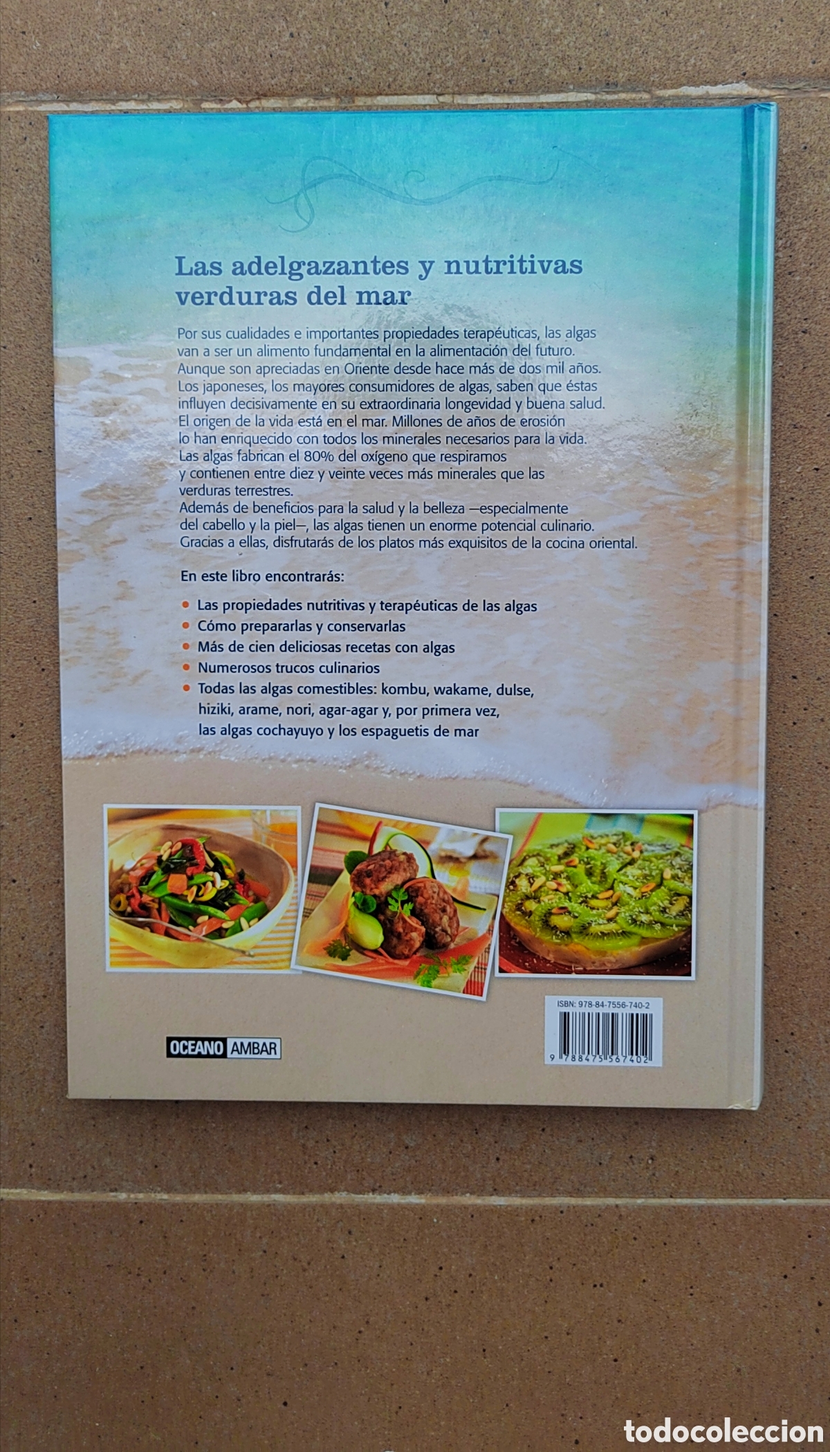 Libros: LIBRO Algas, Las verduras del Mar - Foto 2