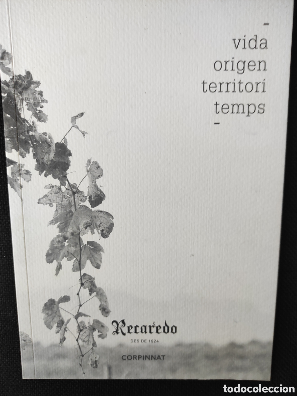 Libros: Libro de lectura - Vida, origen y territori temps
