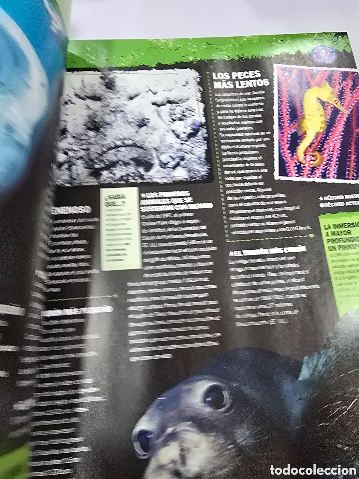 Libros: GUINNESS WORLD RECORDS 2009 - Foto 3