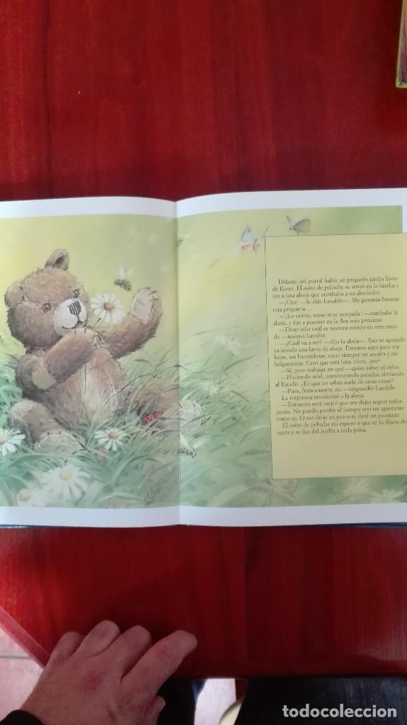 Libros: El osito de peluche - Foto 4