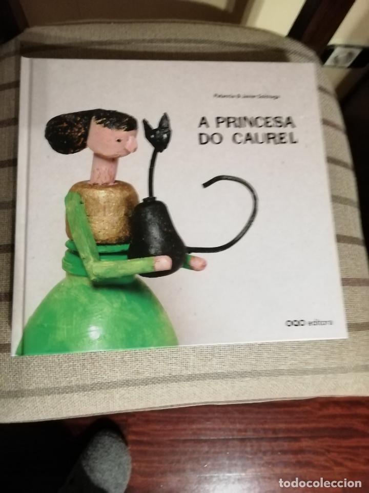 Libros: Libro A Princesa do Caurel - Foto 1