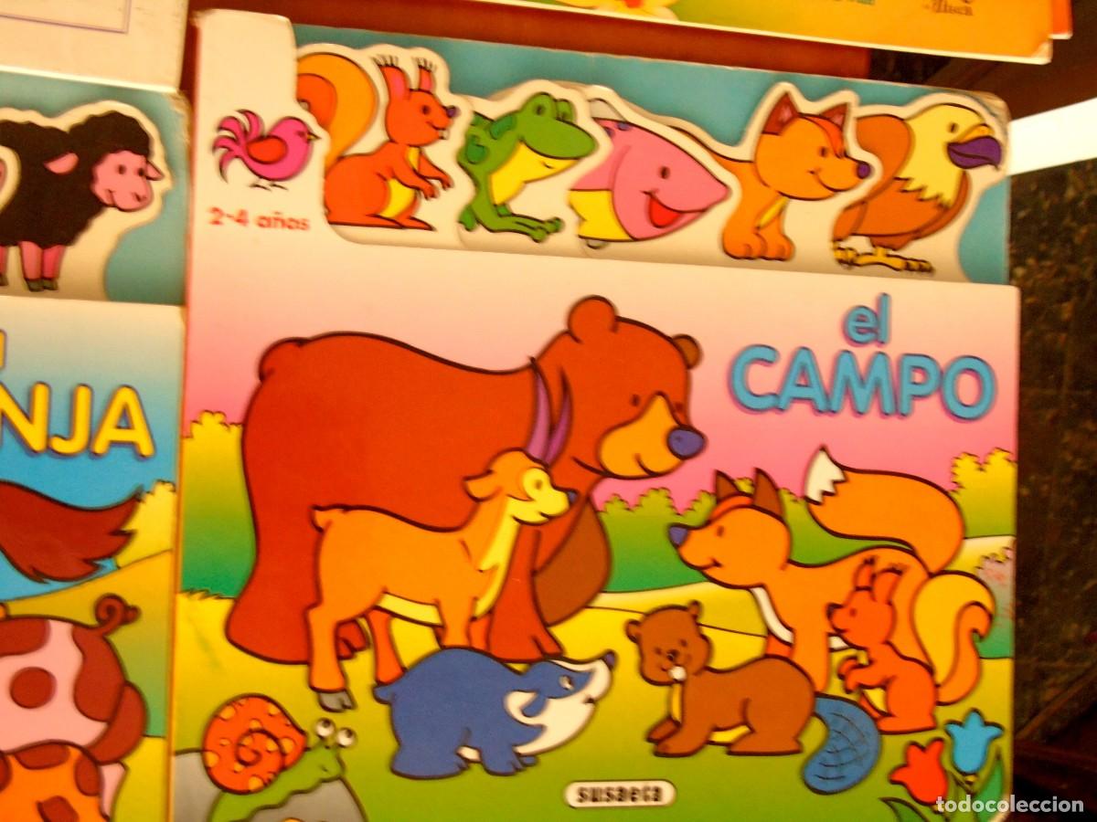 Libros: EL CAMPO SUSAETA - Foto 1