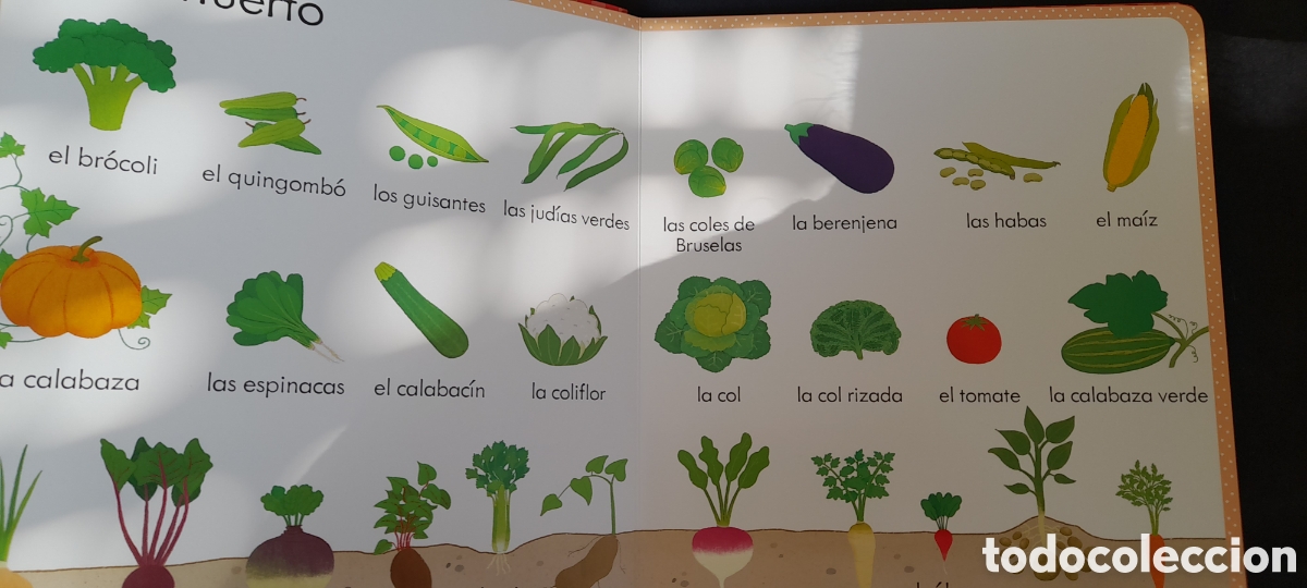 Libros: Mi primer libro de palabras sobre alimentos - Foto 4