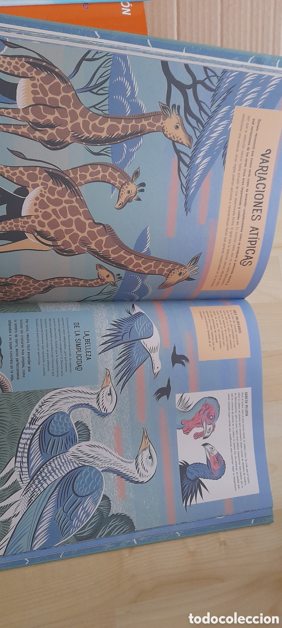 Libros: Charles Darwin y el origen de las especies - Foto 4