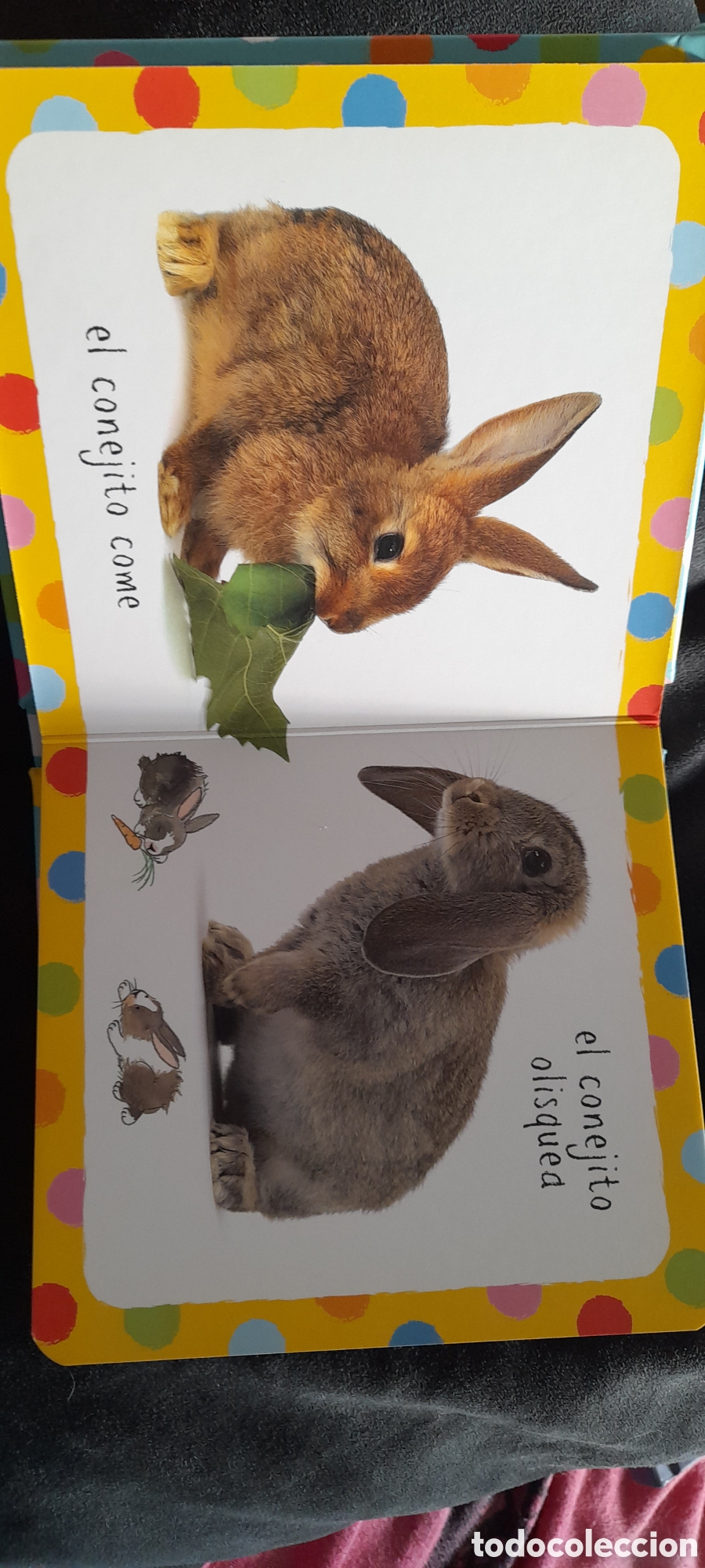 Libros: Mi peque&ntilde;o libro de conejitos. - Foto 3