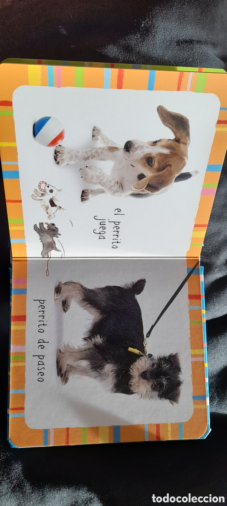 Libros: Mi peque&ntilde;o libro de perritos - Foto 3