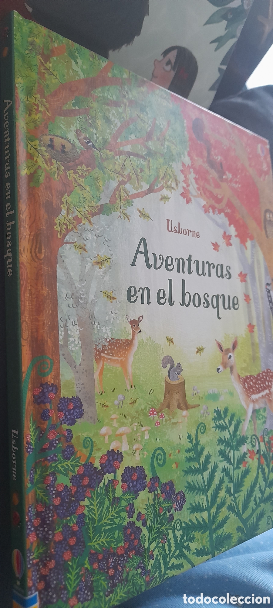 Libros: Aventuras en el bosque. - Foto 3