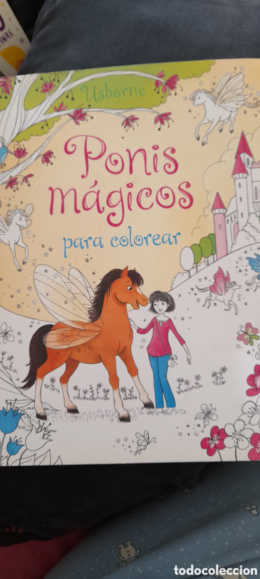 Libros: Ponis m&aacute;gicos para colorear. - Foto 1