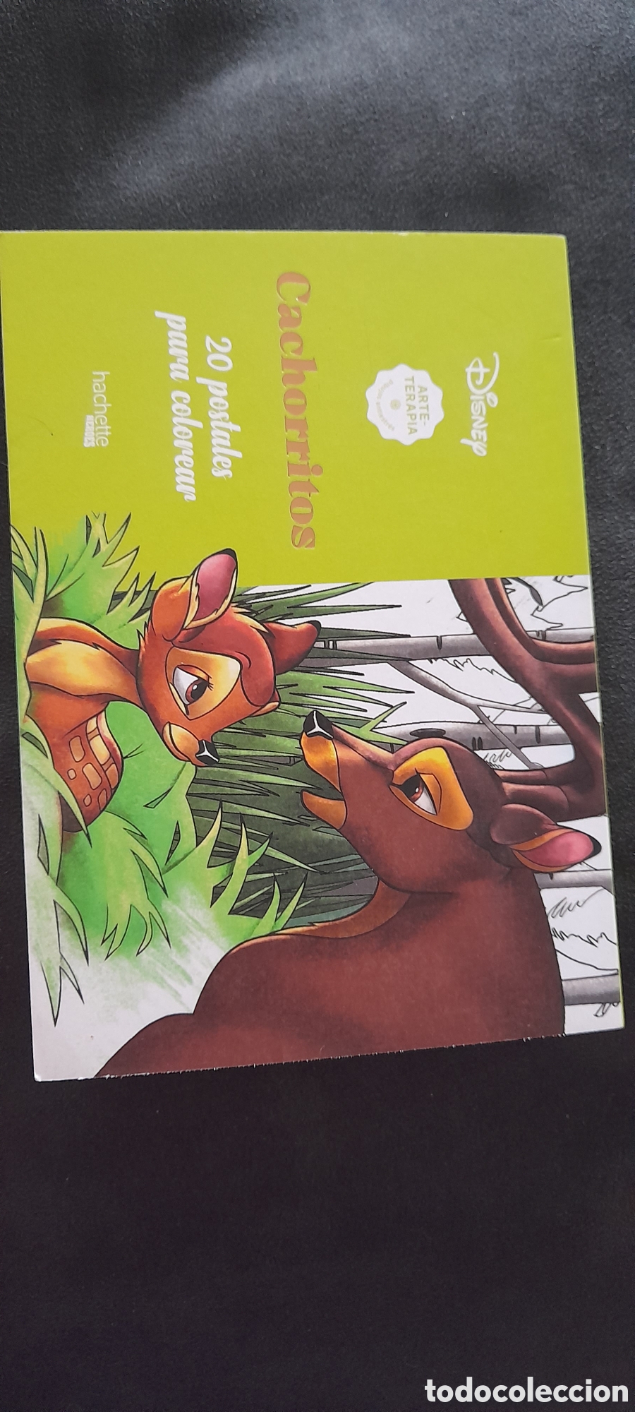 Libros: Disney. Cachorritos. Postales - Foto 1