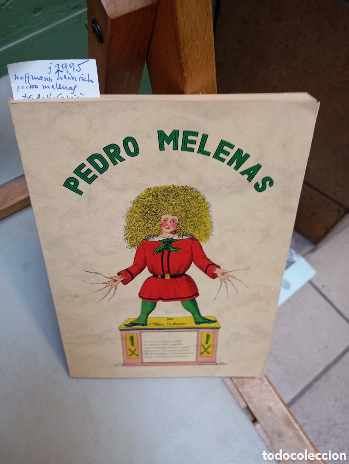 Libros: Pedro melenas.Hoffmann H. - Foto 1