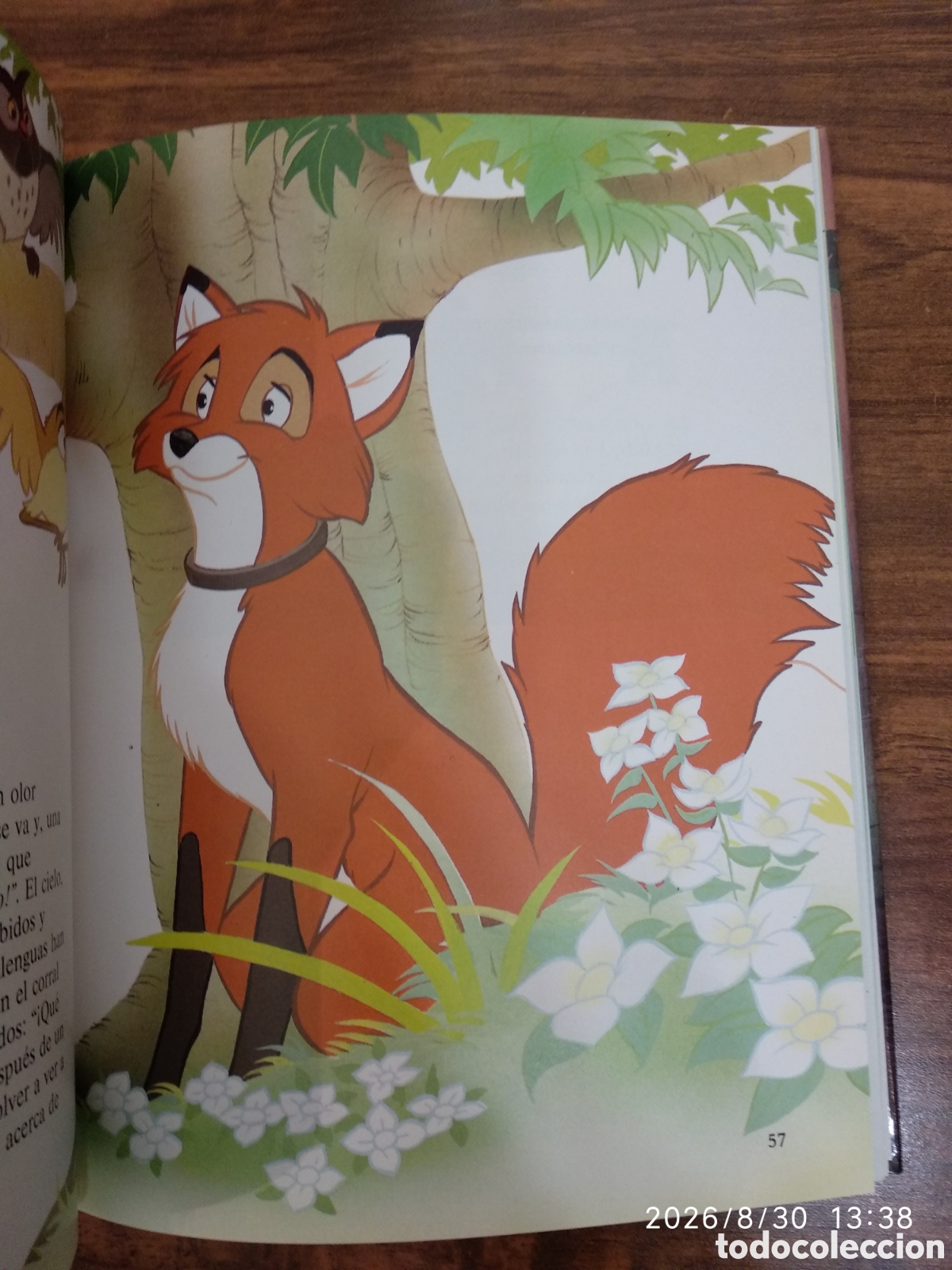 Libros: Libro:Tod y Toby, Disney - Foto 12