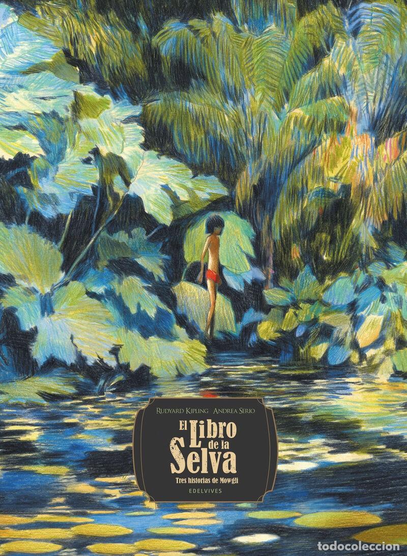 Libros: EL LIBRO DE LA SELVA - Foto 1