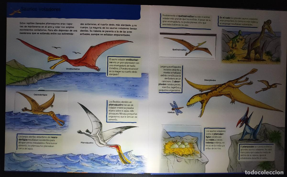 Libros: Libro DINOSAURIOS - Aprender - Foto 4