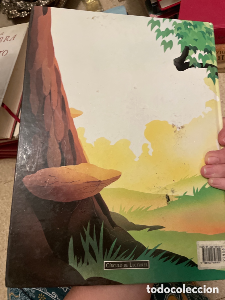 Libros: Bambi - Foto 2