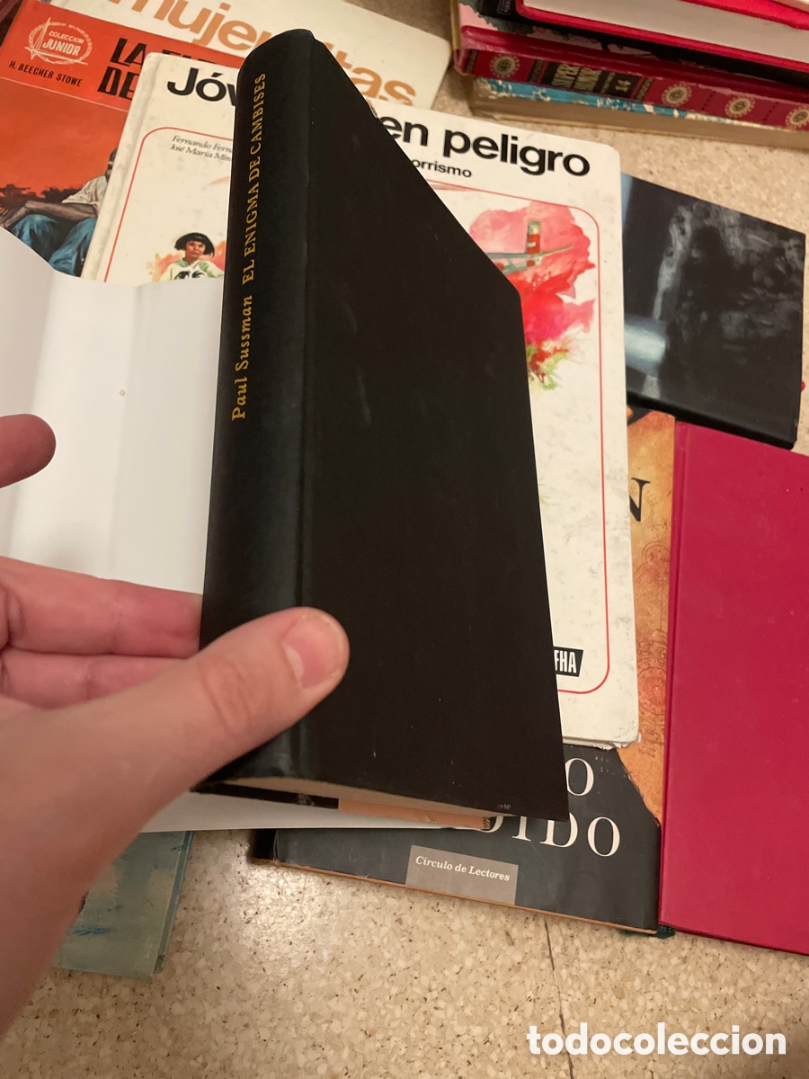 Libros: El enigma de cambises - Foto 2