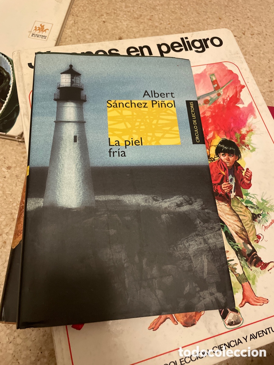 Libros: La piel fr&iacute;a - Foto 1