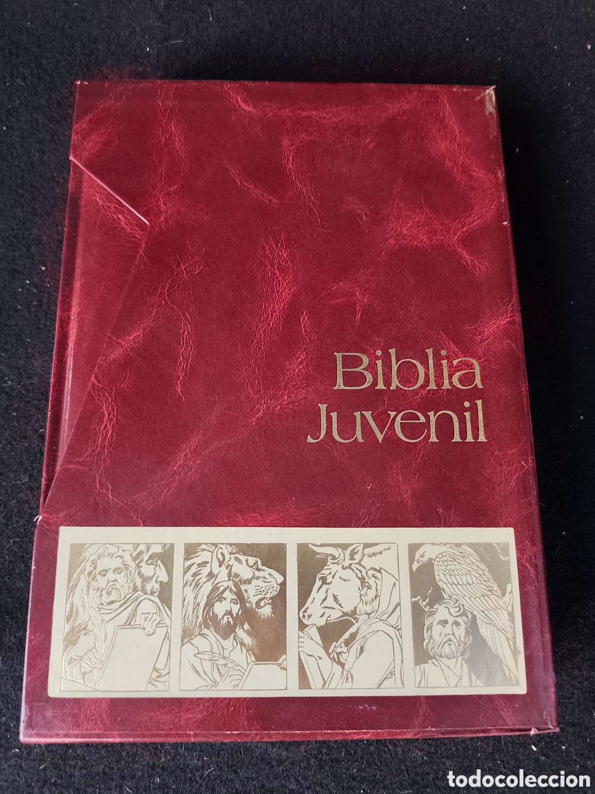 Libros: Biblia juvenil dos tomos
