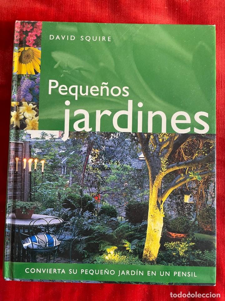 Libros: PEQUE&Ntilde;OS JARDINES. DAVID SQUARE. PARRAGON 2003 - Foto 1
