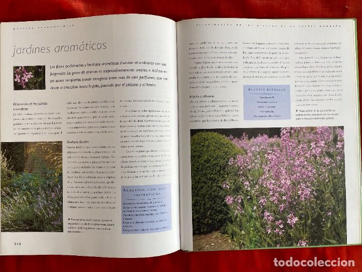 Libros: PEQUE&Ntilde;OS JARDINES. DAVID SQUARE. PARRAGON 2003 - Foto 6