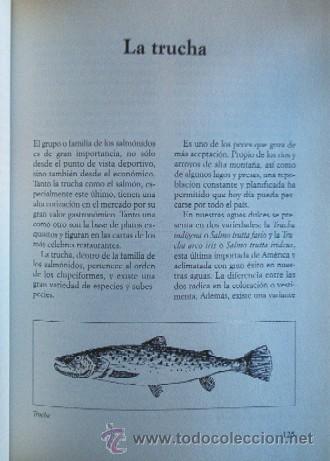 Coleccionismo deportivo: EL GRAN LIBRO DE LA PESCA DE LA TRUCHA - Foto 4