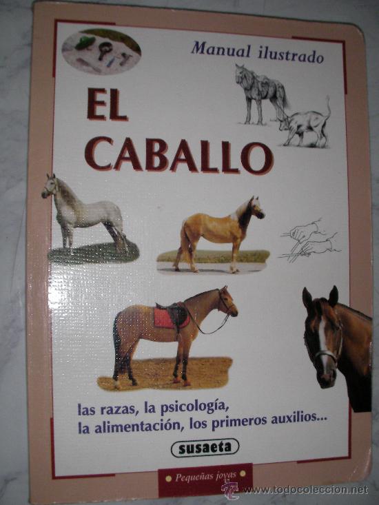Coleccionismo deportivo: EL CABALLO - Foto 1