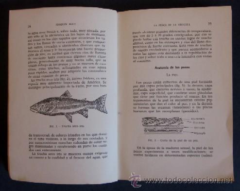 Coleccionismo deportivo: LA PESCA DE LA TRUCHA - Foto 6