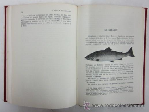 Coleccionismo deportivo: LA PESCA Y SUS SECRETOS - Foto 5