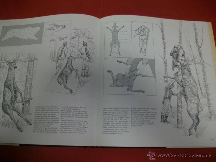 Coleccionismo deportivo: LIBRO DE CAZA (EN ALEM&Aacute;N) - ROBERT ELMAN - Foto 3