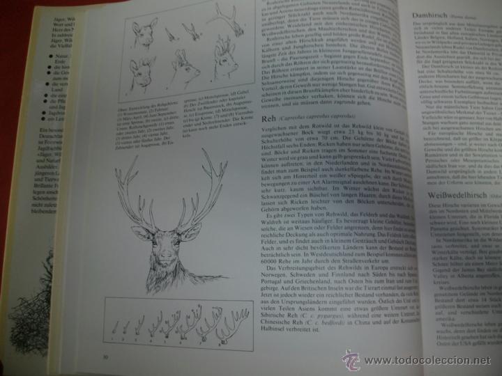 Coleccionismo deportivo: LIBRO DE CAZA (EN ALEM&Aacute;N) - ROBERT ELMAN - Foto 7
