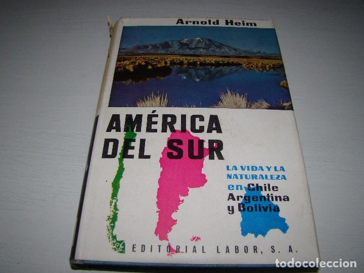 Coleccionismo deportivo: AMERICA DEL SUR - ARNOLD HEIM - Foto 1