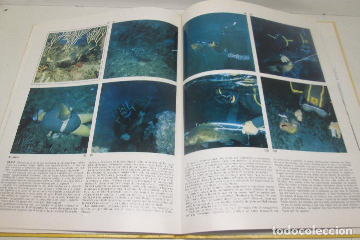 Coleccionismo deportivo: Libro LA PESCA SUBMARINA, editorial TEIDE 1972 - Foto 4