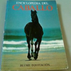 Coleccionismo deportivo: ENCICLOPEDIA DEL CABALLO. BLUME EQUITACION. Lote 108740571