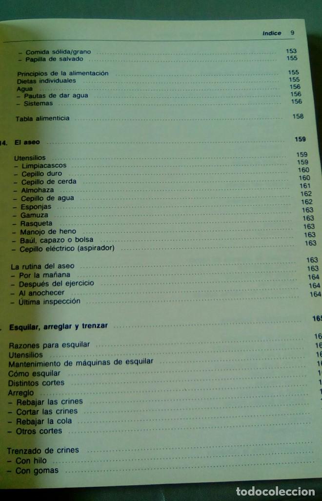 Coleccionismo deportivo: EQUITACION. CON EL CAPITAN MARK PHILLIPS - Foto 9