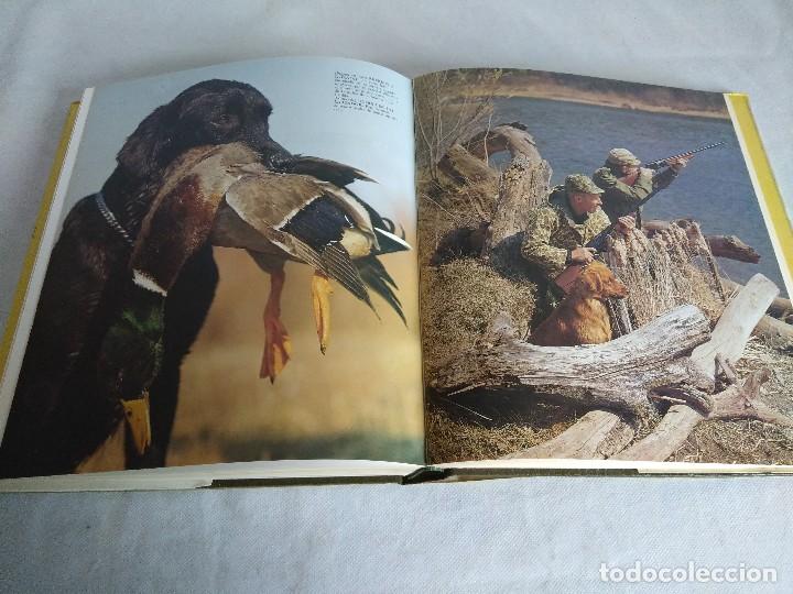 Coleccionismo deportivo: EL GRAN LIBRO DE LA CAZA/EVEREST/NUEVO&iexcl;&iexcl;&iexcl;&iexcl;&iexcl;&iexcl;. - Foto 3