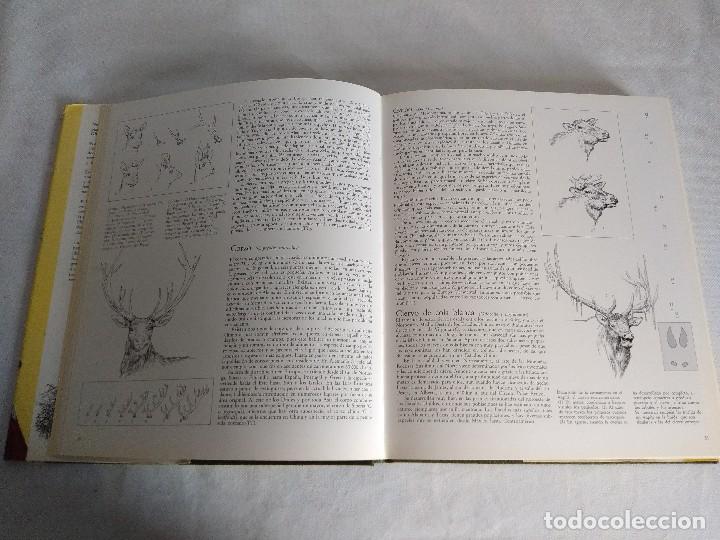 Coleccionismo deportivo: EL GRAN LIBRO DE LA CAZA/EVEREST/NUEVO&iexcl;&iexcl;&iexcl;&iexcl;&iexcl;&iexcl;. - Foto 5