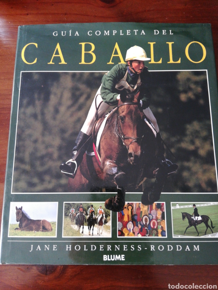 Coleccionismo deportivo: Gu&iacute;a completa del caballo - Jane Holderness - roddam ( Blume) - Foto 1