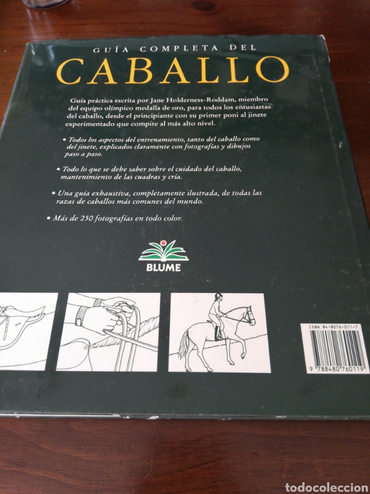 Coleccionismo deportivo: Gu&iacute;a completa del caballo - Jane Holderness - roddam ( Blume) - Foto 2