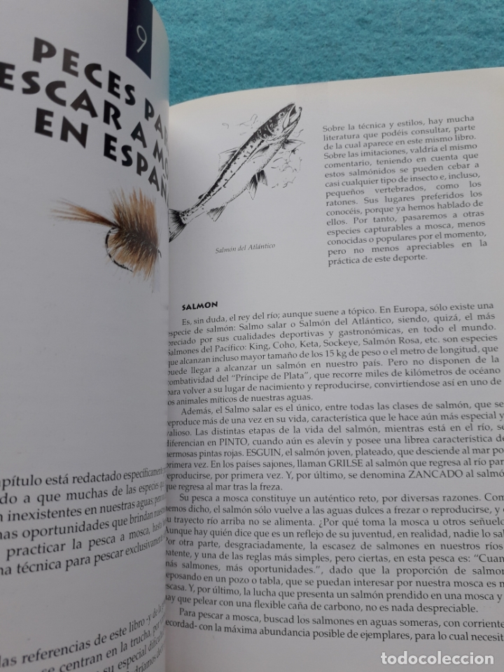 Coleccionismo deportivo: Como pescar con cola de rata. Tom Meade. - Foto 5