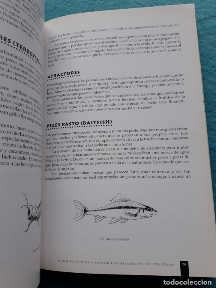 Coleccionismo deportivo: Como pescar con cola de rata. Tom Meade. - Foto 7