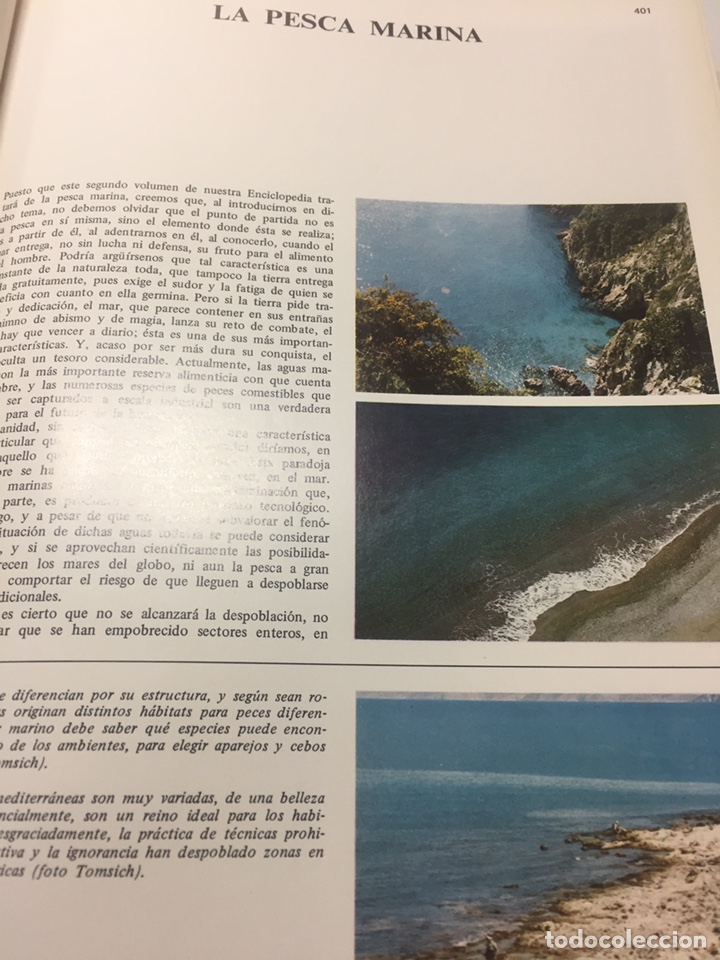 Coleccionismo deportivo: Enciclopedia de la Pesca - Foto 4