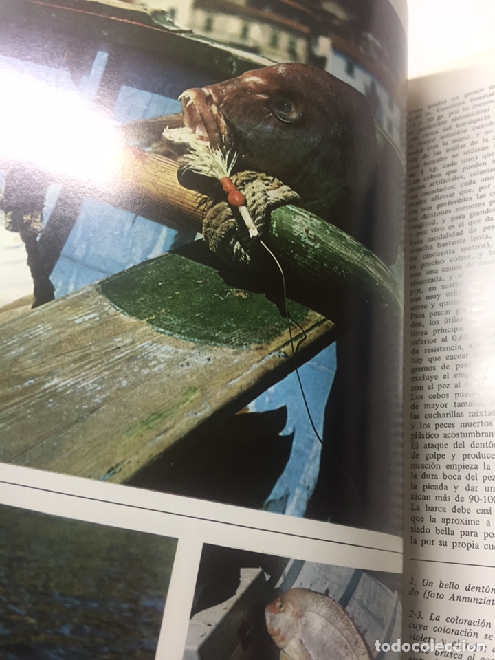 Coleccionismo deportivo: Enciclopedia de la Pesca - Foto 5