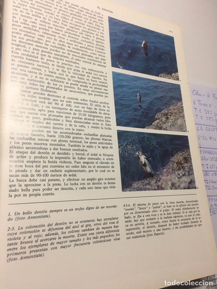 Coleccionismo deportivo: Enciclopedia de la Pesca - Foto 6