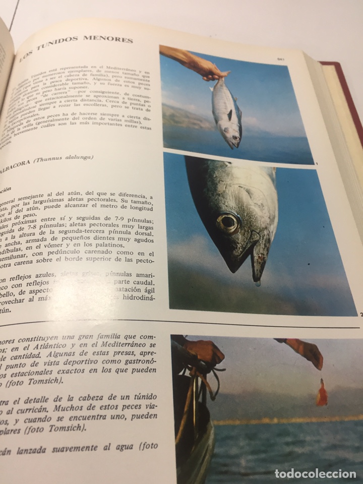 Coleccionismo deportivo: Enciclopedia de la Pesca - Foto 8