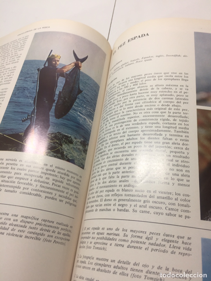 Coleccionismo deportivo: Enciclopedia de la Pesca - Foto 9