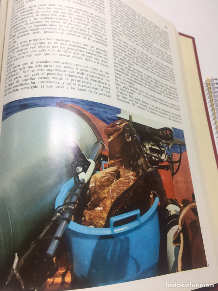 Coleccionismo deportivo: Enciclopedia de la Pesca - Foto 10
