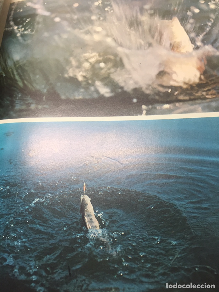 Coleccionismo deportivo: Enciclopedia de la Pesca - Foto 16