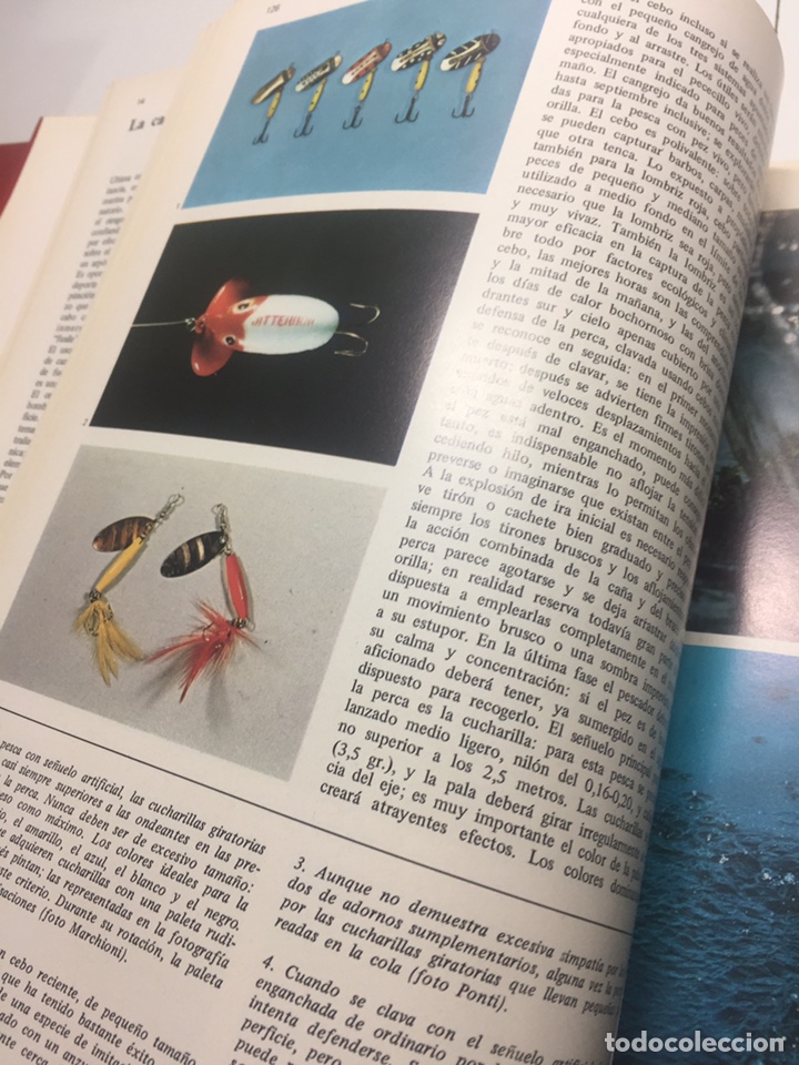 Coleccionismo deportivo: Enciclopedia de la Pesca - Foto 17